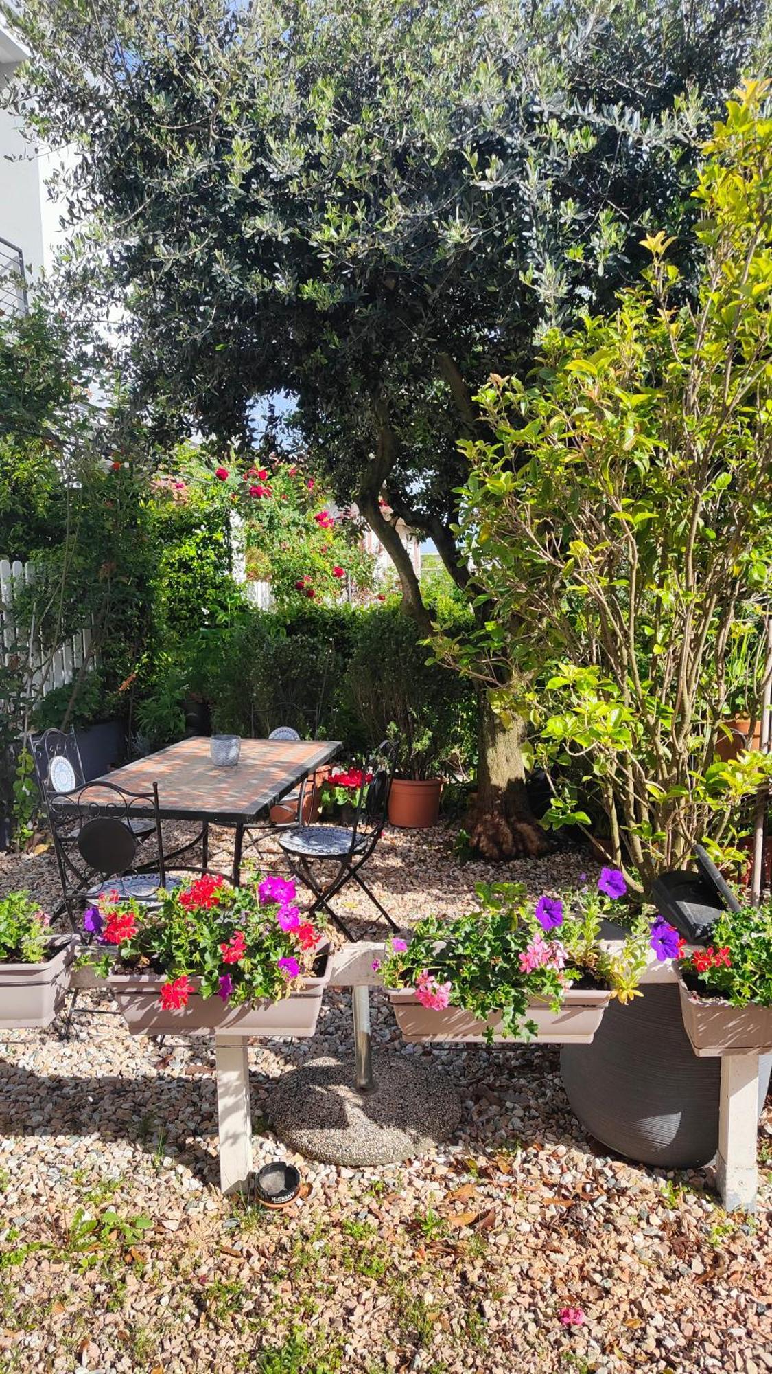 פסקיארה דל גארדה Villa Marianna Garda Lake מראה חיצוני תמונה
