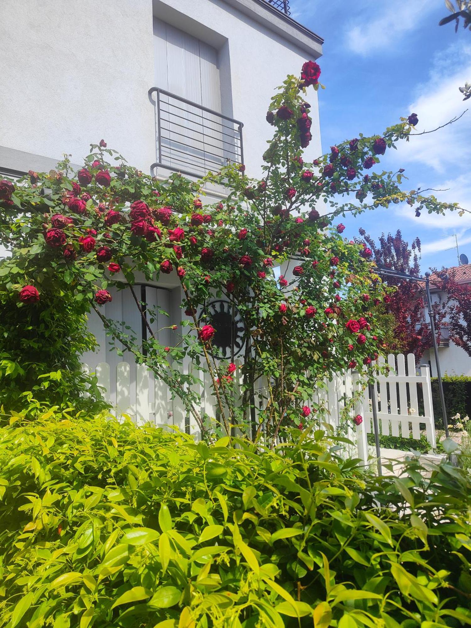 פסקיארה דל גארדה Villa Marianna Garda Lake מראה חיצוני תמונה