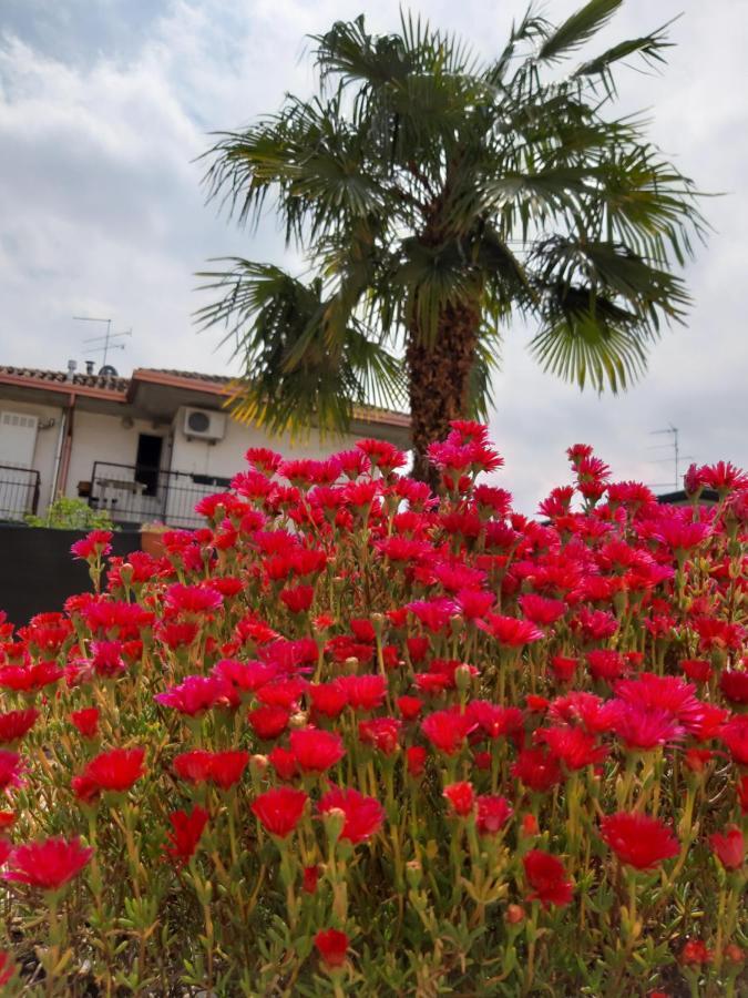 פסקיארה דל גארדה Villa Marianna Garda Lake חדר תמונה